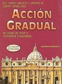 Acción Gradual / Salvador Borrego