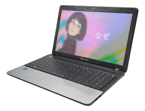 Laptop De Uso Basico Dual Core 4gb Ram 500gb Hdd (Reacondicionado)
