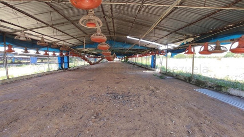 Imagen 7 de 30 de Joselyn Vargas Vende Finca Avicola En Vigirima 22-12944