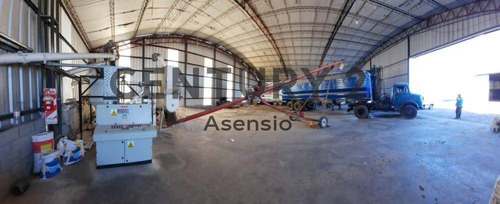 Imagen 3 de 22 de Granja Modelo Productora Huevos Venta Automatizada Baradero, Campo 4hts