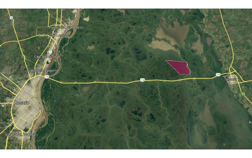 Imagen 7 de 29 de Campo De Isla Ganadero, 2.000 Has Sobre El Paranacito