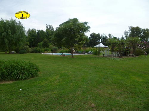 Imagen 4 de 29 de 1554ml- Venta 20 Has, Con Casas En La Mejor Zona Polera