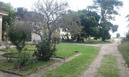 Campo Agricola En Colonia Wilson De 10 Hás