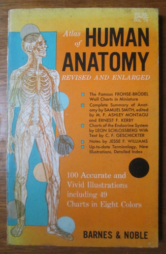 Atlas De Anatomía Humana Medicina Cuerpo Humano 