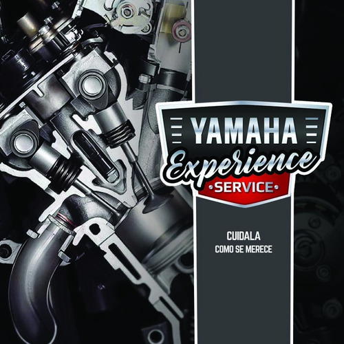 Protectores Laterales De Tanque Yamaha R3