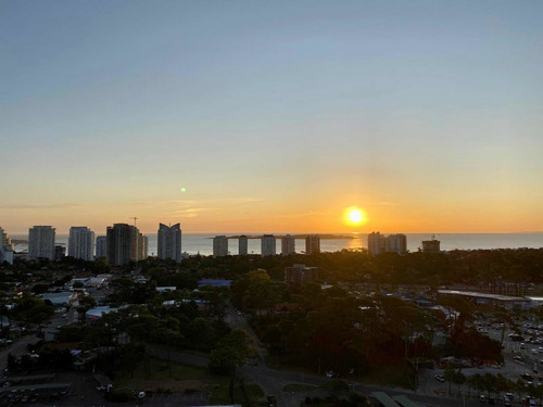 Imagen 11 de 14 de Punta Del Este, Apartamento Alquiler, Place Lafayette.