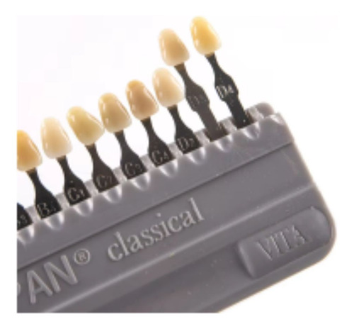 Escala Vita Pan Classical A1-d4 Com 16 Cores
