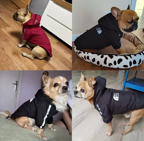 Abrigo Ropa Para Mascotas Perro Gato Polar Impermeable Negro