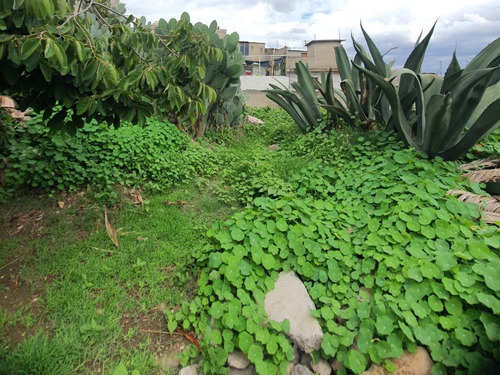 Terreno En Venta En Lomas De San Andres Atenco, Tlalnepantla De Baz