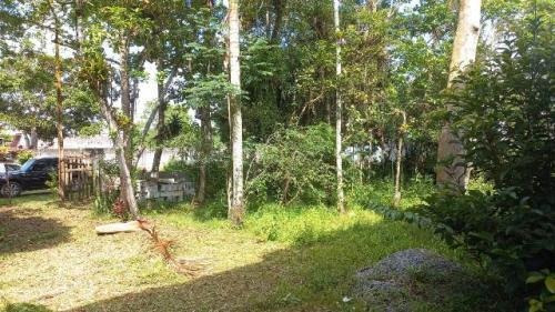 Imagem 5 de 5 de Chácara No Bairro Jardim Palmeiras, Em Itanhaém