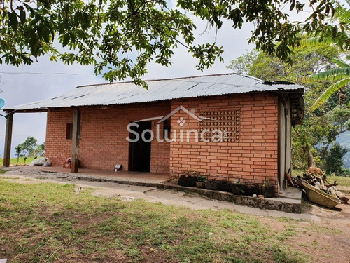 Imagen 16 de 30 de Amplia Finca En Venta Mérida, Chiguará