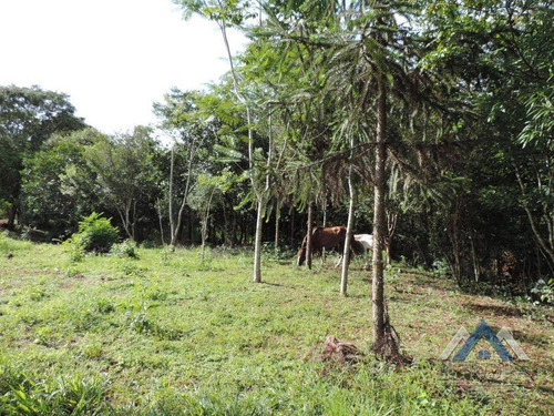 Chácara Com 1 Dormitório À Venda, 8000 M² Por R$ 480.000,00 - Gleba Ribeirão Cafezal - Londrina/pr - Ch0031