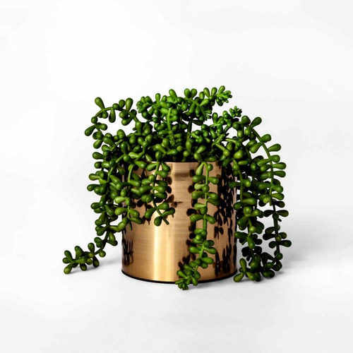 4 Suculentas Plantas Artificiais Pendente Em Silicone Verde