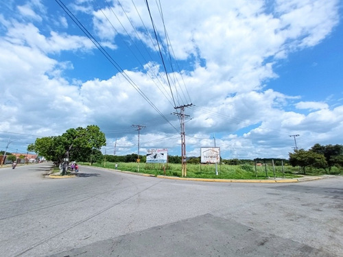 Imagen 2 de 10 de Terreno Venta Res. Palo Negro Casas, Canchas