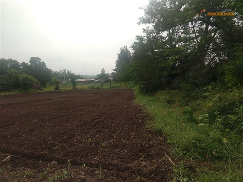 Imagen 12 de 15 de Venta Terreno En Puente Alto, 16.000 M2 Superficie
