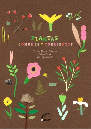 Plantas Comunes Y Corrientes, De Cecilia Afonso Estevez Nicolás Schuff Pablo Picyk. Editorial Eduvim, Tapa Dura, Edición 1 En Castellano, 2017