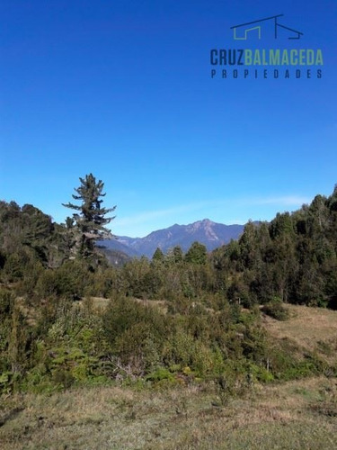 Imagen 3 de 5 de Agrícola En Venta En Cochamo, Sotomo