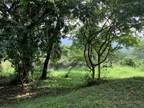 Rancho En Venta La Concepción Ver, 15 Mins De Xalapa Ver.