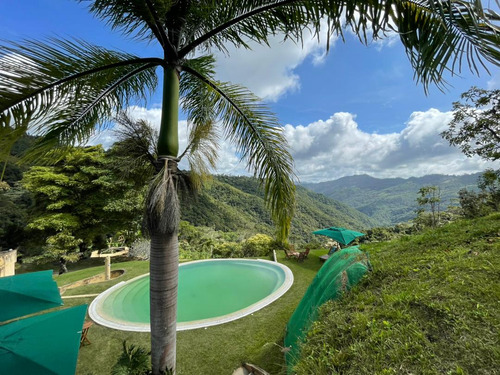 Se Vende Finca 4 Hectareas 6h+5b+50e Sabaneta