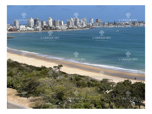 Imagen 10 de 26 de Apartamento En Mansa - Punta Del Este