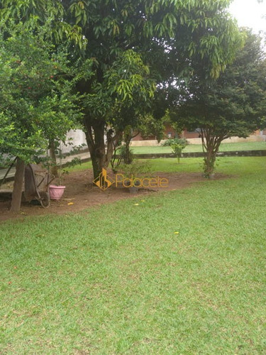 Imagem 8 de 16 de Rural Chacara Com 3 Quartos - 173197-v