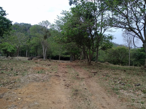Sitio A Venda Em Monte Santo De Minas