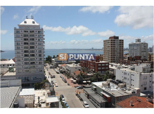 Imagen 5 de 30 de Apartamento En Alquiler Anual Zona De Península !!!
