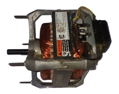 Motor  110v