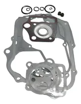 Comprar Juego Juntas De Motor Moto 110cc C110 Px Fair Zb Polleritas