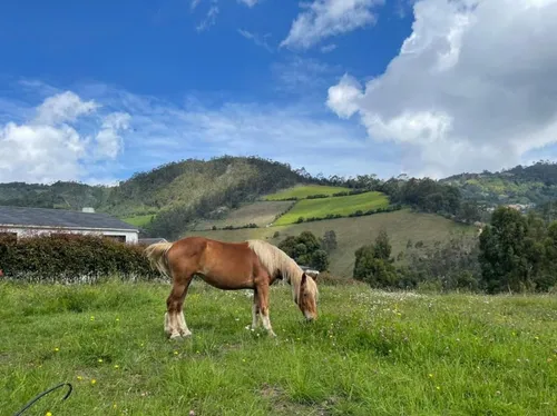 Espectacular Lote En Condominio En Zipacón, Cundinamarca. Con Extensas Áreas Sociales Ya Terminadas