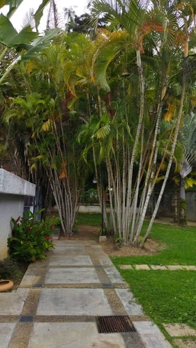 Imagen 3 de 14 de Vendo Casa 400m2 6h/6b/10p Colinas De Tamanaco 8914