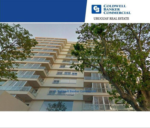 Local Comercial O Oficina - Barrio Sur - Alquiler