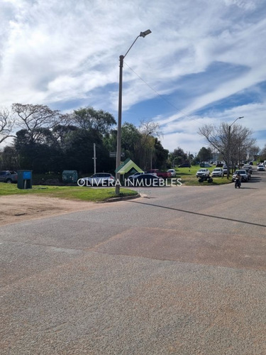 Terrenos Aptos Para Edificio De 10 Pisos. Ubicado Atras Del Mautone.