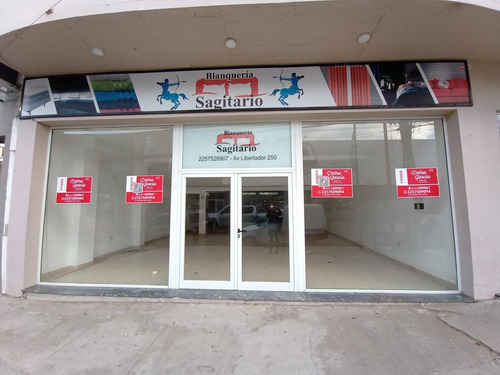 Imagen 19 de 26 de Local Comercial En Alquiler Anual En Mar De Ajo Frente Al Supermercado Coto 170m2- Av. Libertador
