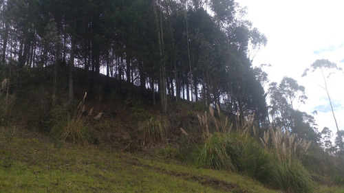 Venta De Terreno, Casa De Campo, Granja, Lote En Hermoso Sector De Cuenca, Punta Corral, Turi