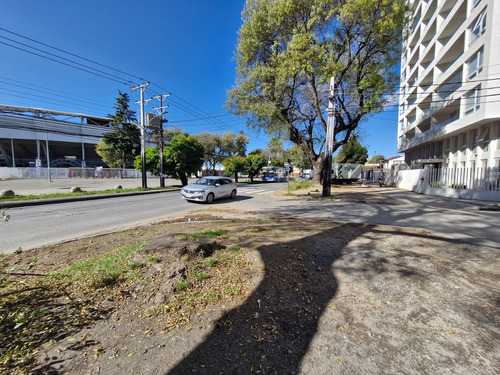 Departamento En Arriendo En Collao Concepcion
