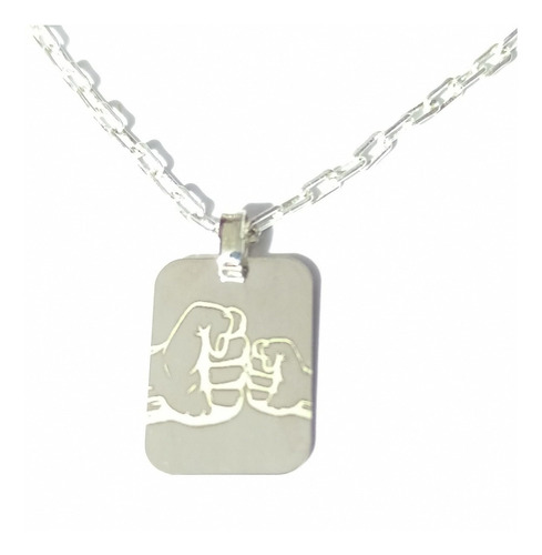 Conjunto Foto Medalla Plata 925 15x19mm + Cadena Hombre