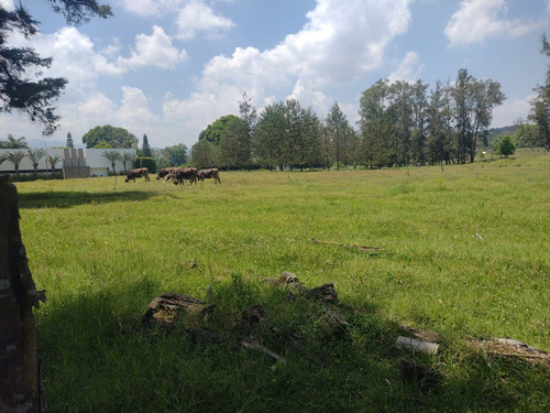 Terreno Campestre A La Venta En Frac. Manantial , Xalapa, Veracruz
