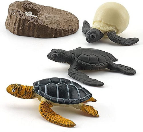 Figuras De Animales Ciclo De Crecimiento De La Vida De Tort.