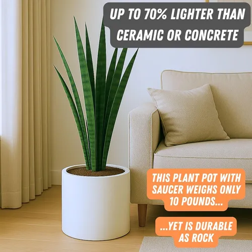 Maceta Grande Con Saucer Oculto Fox & Fern, 12 Pulgadas
