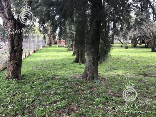Imagen 2 de 20 de No Aceptan Permuta, Ni Toman En Parte De Pago. Casa Quinta 3 Ambientes