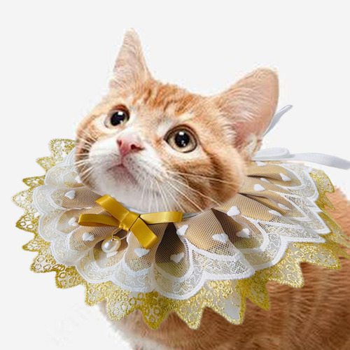 Collar Para Gatos, Bandana Para Mascotas, Collar M Amarillo