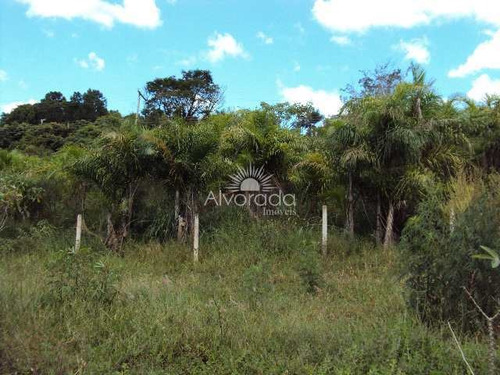 Imagem 18 de 24 de Sítio Com Lago, Ponte Alta, Jarinu - R$ 800 Mil, Cod: St012 - Vst012