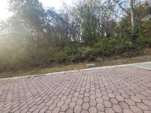 Venta Lote Gladiola 34 Cerca De Acceso Con Vistas Panorámicas Y Todos Los Servicios Inlcuyendo Proyecto En Fracc Rancho San Diego Ixtapan De La Sal Edomex