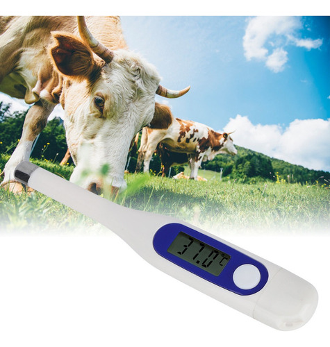 Termómetro Electrónico Veterinario Lcd Digital Animal