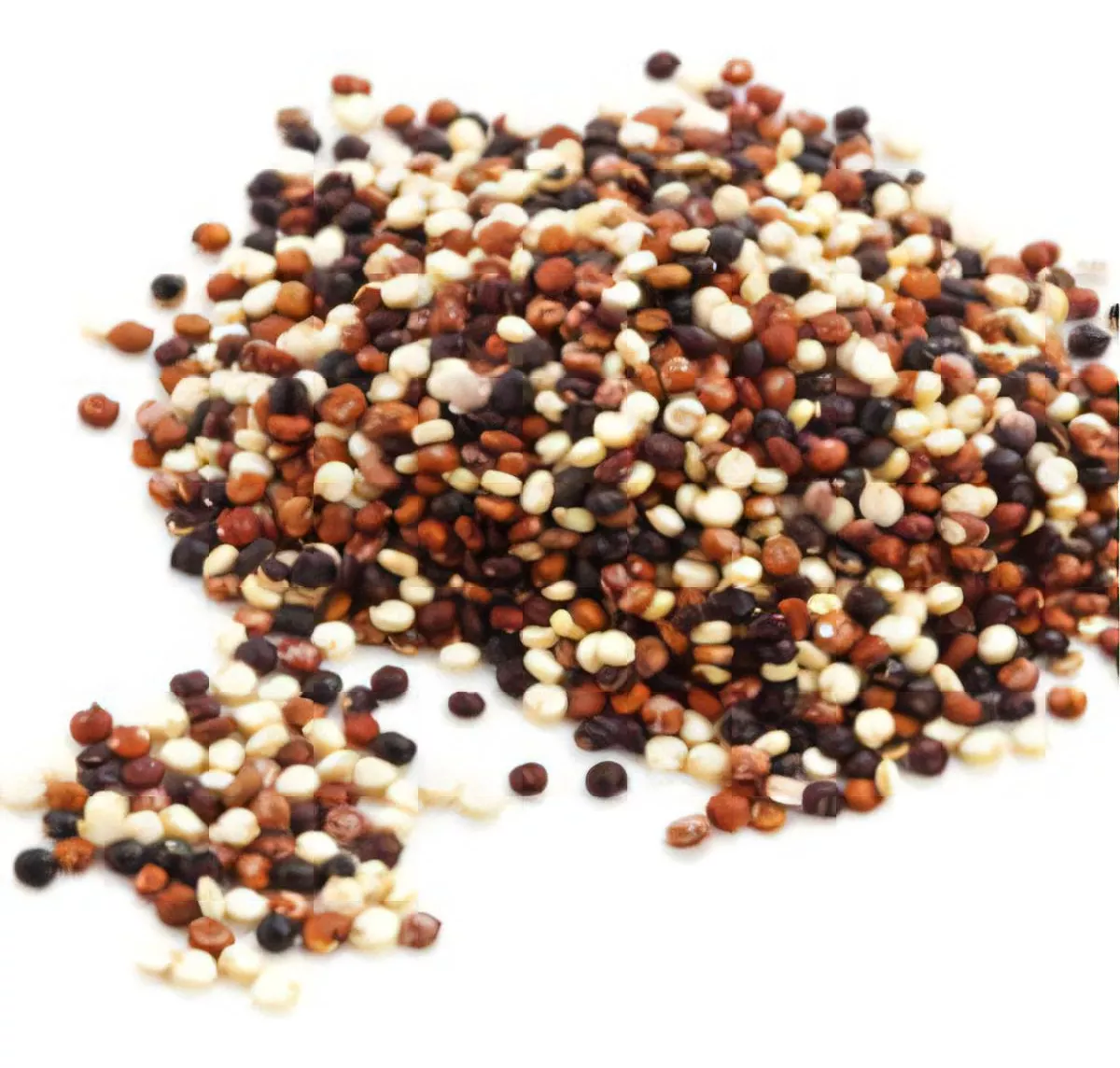 Segunda imagem para pesquisa de quinoa