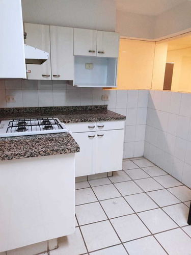 Imagen 9 de 14 de Excelente Oficina Planta Baja Con Jardin En Polanco 240m2