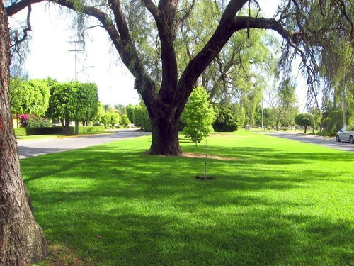 Imagen 22 de 22 de Terreno En Venta De Lujo Puerta De Hierro