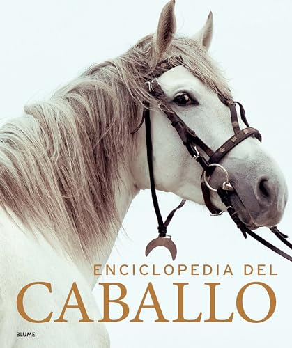 Enciclopedia Del Caballo 2023  - Vv Aa 