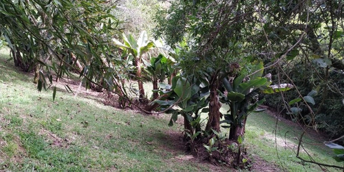 Imagen 4 de 19 de Hermosa Finca En Venta En El Carmen De Viboral